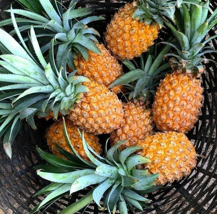 Manfaat Buah Nanas untuk Kesehatan