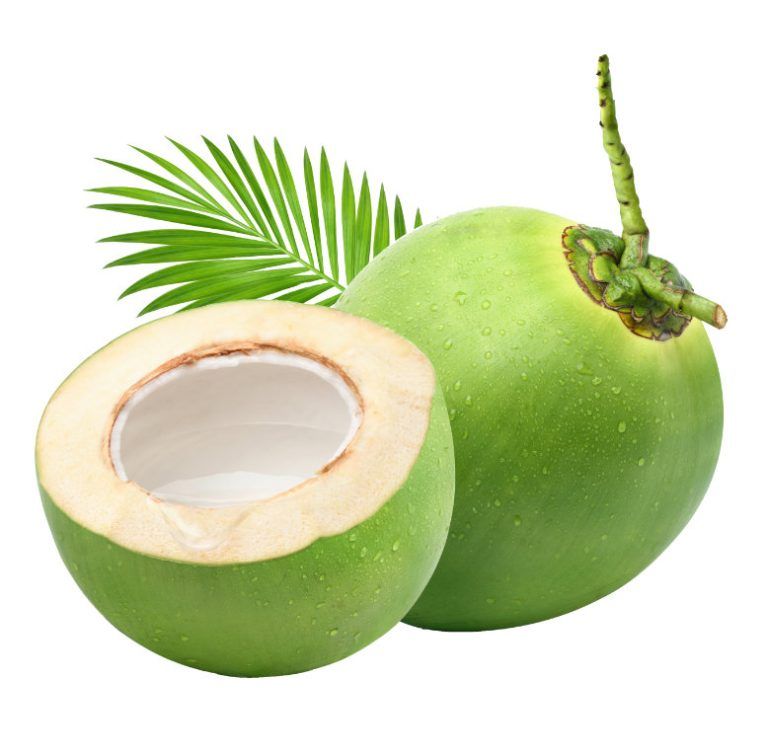 Manfaat Kelapa dalam Menurunkan Risiko Infeksi dan Penyakit